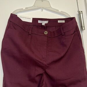 Ann Taylor Loft pants the Sutton Skinny size 10 Curvy